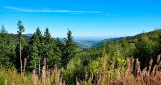 GTA VTT Pailharès GTA VTT Pailharès