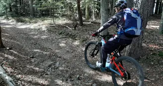 GTA VTT Rochepaule GTA VTT Rochepaule