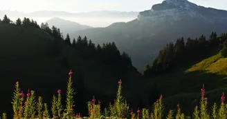 Belvédère du Charmant Som Belvédère du Charmant Som
