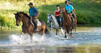 Cheval Berry Cheval Berry