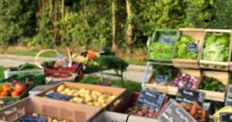 Vente en direct du producteur1