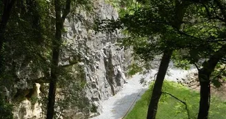 Horizon Vertical