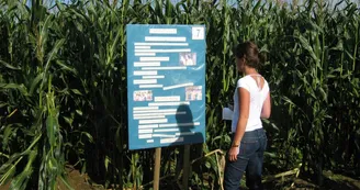© LABYRINTHE LA CLE DES CHAMPS © LABYRINTHE LA CLE DES CHAMPS