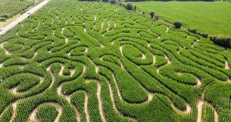 © LABYRINTHE LA CLE DES CHAMPS © LABYRINTHE LA CLE DES CHAMPS