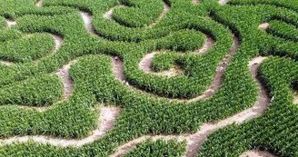 © LABYRINTHE LA CLE DES CHAMPS © LABYRINTHE LA CLE DES CHAMPS