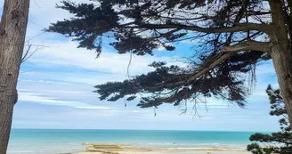 Service Communication Donville les Bains Service Communication Donville les Bains
