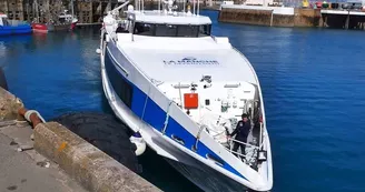 MJP MJP