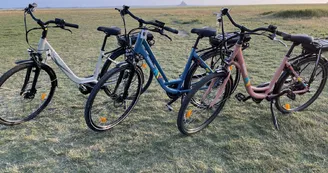 Iris sport 2023 Iris sport 2023
