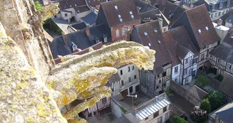 ©DR