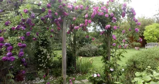 Le Jardin du Presbytère de Brucheville Le Jardin du Presbytère de Brucheville
