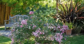 Le Jardin du Presbytère de Brucheville Le Jardin du Presbytère de Brucheville