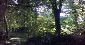 Propriétaire Propriétaire
