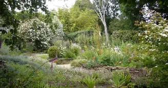 Jardin du revers Jardin du revers