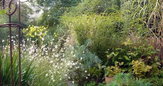 Jardin du revers Jardin du revers