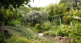 Jardin du revers Jardin du revers