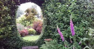 Jardin du revers Jardin du revers