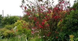 Jardin casrouge