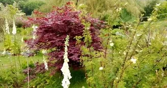 Jardin casrouge