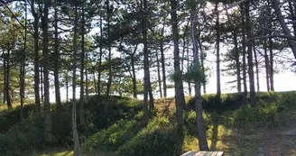 Coutances Tourisme