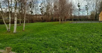 IMG_20251208_154155179