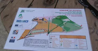 course-orientation-preference-plein-air-st-leonard-des-bois-72-asc-2 course-orientation-preference-plein-air-st-leonard-des-bois-72-asc-2