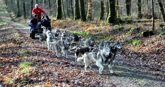Cani kart Cani kart