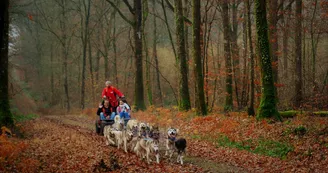 Cani Kart Cani Kart