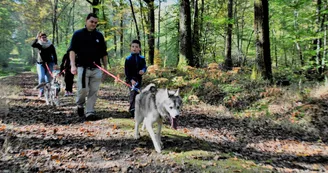 groupe clouet cani rando 2 groupe clouet cani rando 2