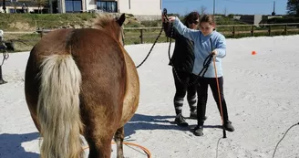 Communiquer avec le cheval Communiquer avec le cheval