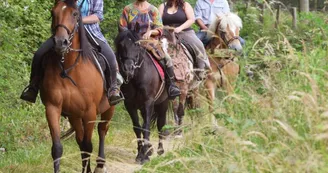 Randonnée à cheval Randonnée à cheval