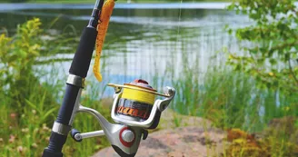 canne à pêche