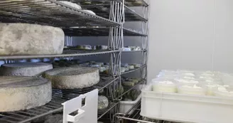 vallee-de-la-sarthe-Fromages-de-sophie-Fromages vallee-de-la-sarthe-Fromages-de-sophie-Fromages