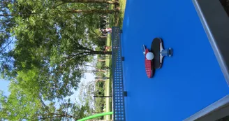 ping pong ping pong