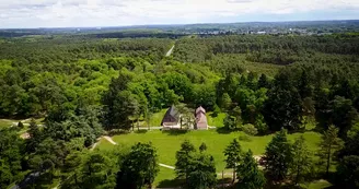 vue de drone Maison forêt vue de drone Maison forêt
