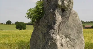 duneau-menhir-2