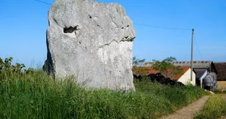 P1037656