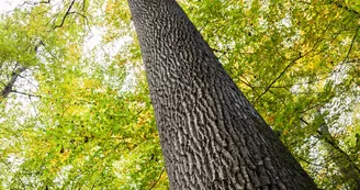 _MG_8330 _MG_8330