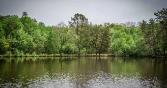 Etang du Jouteau Etang du Jouteau