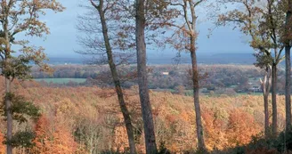 Forêt de Perseigne Forêt de Perseigne