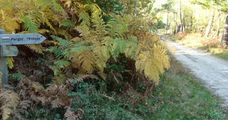 boisloudon-parigneleveque-72-pn-1 boisloudon-parigneleveque-72-pn-1