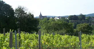 Vue sur Fresnay-sur-Sarthe depuis le Coteau des Vignes Vue sur Fresnay-sur-Sarthe depuis le Coteau des Vignes