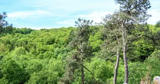 Rochebrune Rochebrune