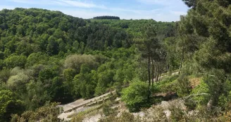 Pierrier de la Vallée de Misère Pierrier de la Vallée de Misère