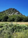 Vue du mont Gerbier de Jonc