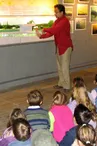 Observatoire des poissons migrateurs