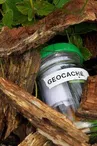 Géocaching en Bocage