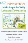 Exposition : La trogne : l'arbre cultivé