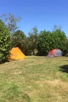 IMG_2022