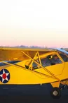 Fly Vintage - Réplique de l'Avion PIPER J3 CLUB_1