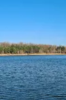 Etang de Vivy